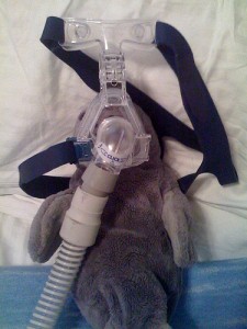 Manatee wearing a cpap device